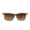 Rectangle Retro Horn Sunglasses NN387